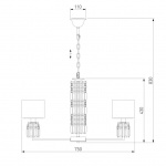 Подвесная люстра Eurosvet Zaffiro 10099/8 хром/прозрачный хрусталь Strotskis