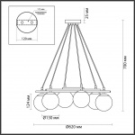 Подвесная люстра Lumion Moderni Randi 5212/6