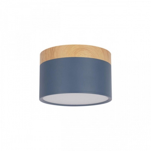 Накладной светодиодный светильник Loft IT Grape 10162 Blue