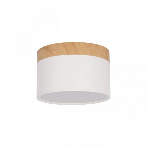 Накладной светодиодный светильник Loft IT Grape 10162 White
