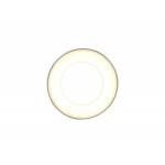 Потолочный светильник Ambrella light Techno TN3411