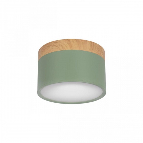 Накладной светодиодный светильник Loft IT Grape 10162 Green