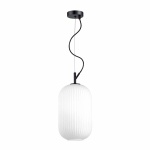 Подвесной светильник Odeon Light Pendant Roofi 4751/1