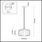 Подвесной светильник Odeon Light Pendant Binga 4746/1