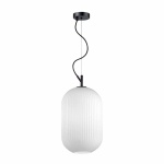 Подвесной светильник Odeon Light Pendant Roofi 4752/1