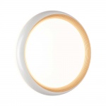 Настенно-потолочный светодиодный светильник Sonex Pale Tofiq White 7650/DL
