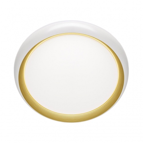 Настенно-потолочный светодиодный светильник Sonex Pale Tofiq White 7650/DL