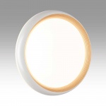 Настенно-потолочный светодиодный светильник Sonex Pale Tofiq White 7650/DL