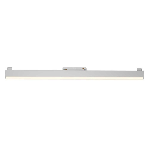 Трековый светодиодный светильник Maytoni Technical Basis TR074-2-20W3K-W