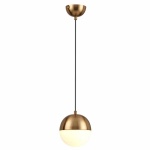 Подвесной светильник Odeon Light Pendant Pinga 4960/1