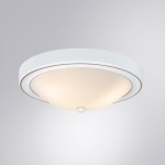 Потолочный светильник Arte Lamp James A4049PL-3WH