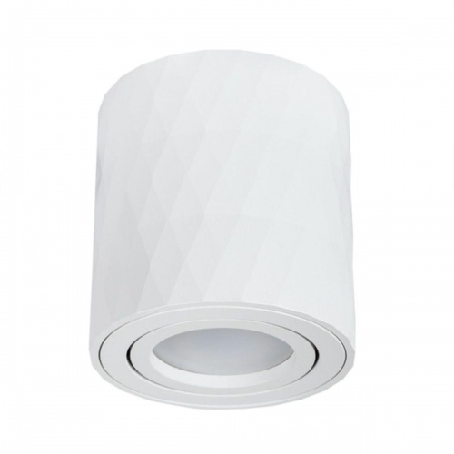 Потолочный светильник Arte Lamp Fang A5559PL-1WH