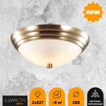 Настенно-потолочный светильник Lumion Vintage Kayla 5262/2C