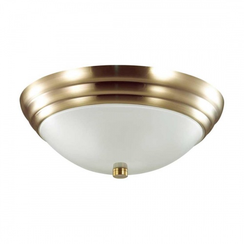 Настенно-потолочный светильник Lumion Vintage Kayla 5262/2C