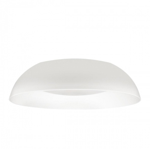 Потолочный светодиодный светильник Loft IT Cappello 10229 White
