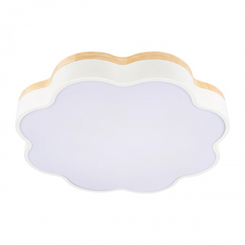 Потолочный светодиодный светильник Loft IT Axel 10225/36 White