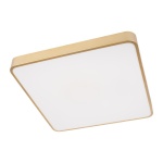 Потолочный светодиодный светильник Loft IT Flims 10228/D