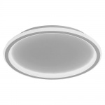 Потолочный светодиодный светильник Feron Ring AL5801 41559