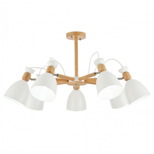Потолочная люстра Evoluce Balcamo SLE103802-07