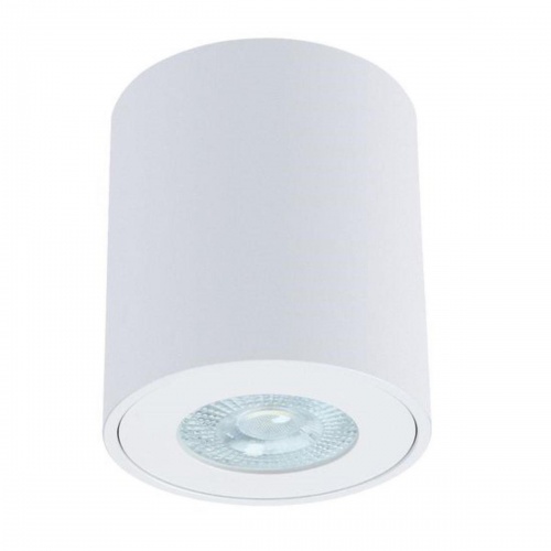 Потолочный светильник Arte Lamp Tino A1469PL-1WH