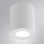 Потолочный светильник Arte Lamp Tino A1469PL-1WH