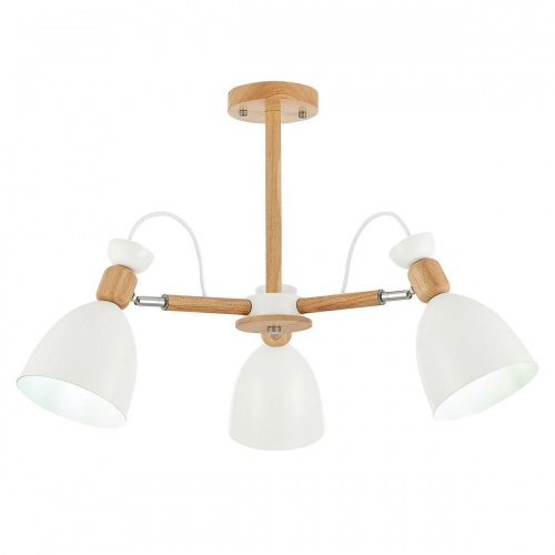 Потолочная люстра Evoluce Balcamo SLE103802-03