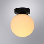 Потолочный светильник Arte Lamp Alcor A2224PL-1BK