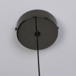 Подвесной светодиодный светильник Favourite Luna 4369-1P