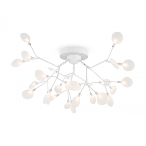 Потолочная люстра Freya Florencia FR5049CL-27W2