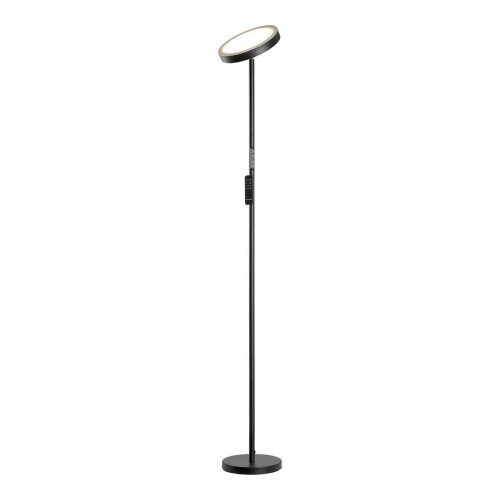 Торшер Lussole Carmel LSP-0901-SE