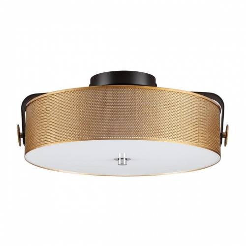 Потолочный светодиодный светильник Lumion Ledio Drumy 6597/40L