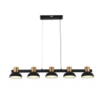 Подвесная светодиодная люстра Indigo Traforo 11059/5PL Black V000184L