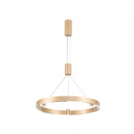 Подвесной светодиодный светильник Ambrella light Comfort Line FL5846
