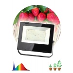 Прожектор светодиодный для растений ЭРА 100W 4000K Fito-100W-Ra90-Led Б0047876
