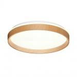 Настенно-потолочный светильник Sonex GARI WOOD 7684/DL