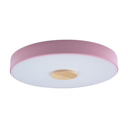 Потолочный светодиодный светильник Loft IT Axel 10003/24 pink