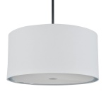 Подвесной светильник Escada Idea 10186/1S