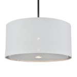 Подвесной светильник Escada Idea 10186/1S