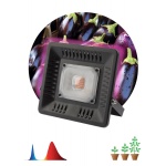 Прожектор светодиодный ЭРА 50W 1370K Fito-50W-Led Б0039033