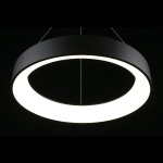 Подвесной светодиодный светильник Aployt Michell APL.052.13.60