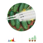 Модульный светодиодный светильник для растений ЭРА Fito-3х10W-Line-Ra90 Б0049315