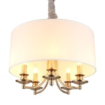 Подвесная люстра Aployt Berze APL.721.06.05