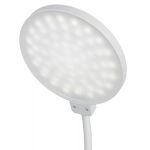 Настольная лампа ЭРА NLED-501-10W-W Б0059839