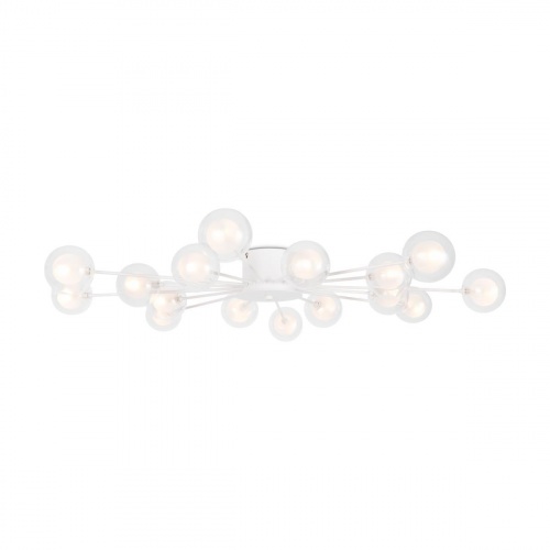Потолочная люстра Freya Celebrity FR5242CL-16W