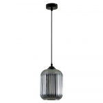 Подвесной светильник Arte Lamp Arwen A1902SP-1BK