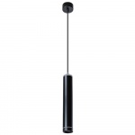 Подвесной светодиодный светильник Arte Lamp Altais A6110SP-2BK