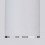 Потолочный светильник Elektrostandard DLN101 GU10 WH белый a043967