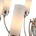 Подвесная люстра ST Luce Elegra SL1402.253.06