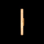 Настенный светильник Loft IT Sumatra 10412/500 WB