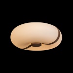 Потолочный светильник Loft IT Bolina 10473